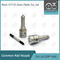 DLLA153P1450 Bosch Diesel Nozzle για κοινό σιδηροδρομικό έγχυση 0445110232/233