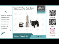 7135-575 εξάρτηση επισκευής εγχυτήρων των Δελφών για 28231462 το ακροφύσιο L363PRD της VW 1.2L