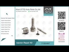 7135-647 εξάρτηση επισκευής εγχυτήρων των Δελφών για 28232248 με το ακροφύσιο L120PBD