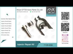 7135-656 εξάρτηση επισκευής εγχυτήρων των Δελφών για R00504Z με το ακροφύσιο L135PBD