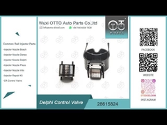 28615824 Βαλβίδα ελέγχου κοινού σιδηροδρόμου για εγχέτριες κοινού σιδηροδρόμου Delphi R00001D/28307309