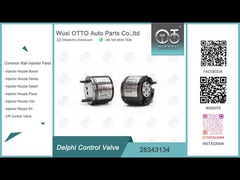 28343134 Δελφική κοινή σιδηροδρομική βαλβίδα ελέγχου για εγχέτριες R00001D/28307309 κλπ.