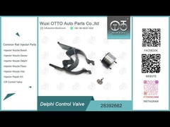 Δελφί 28392662 Κεφάλαιο ελέγχου κοινού σιδηροδρόμου για εγχέτη 28342997