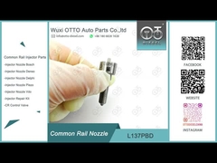 L137PBD Δελφική κοινή σιδηροδρομική ακροφύλακα για έγχυση EJBR02401Z / 02901D