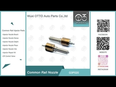 Μπεκ Diesel G3P020 για Μπεκ 295900-0220/DCRI200480/23670-51060