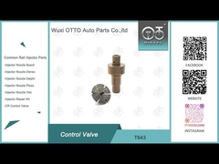 T643 Βαλβίδα ελέγχου Common Rail Εφαρμογή 0445110819/818/939