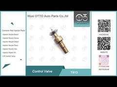 T613 Βαλβίδα Ελέγχου Common Rail Bosch Εφαρμοσμένη 0445110551