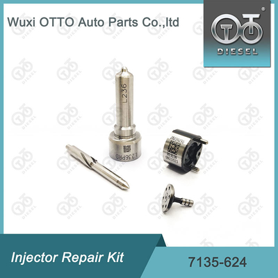 Κίτ 7135-624 Delphi Injector Επισκευή Κίτ για Injector DAIMLER R04201D