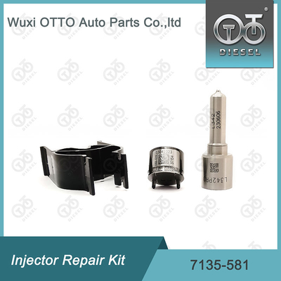 Κιτ Επισκευής Μπεκ Delphi 7135-581 για R00101D PSA FORD DW10C