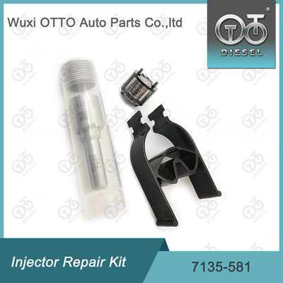 Συσκευή επισκευής του εγχέτη Delphi 7135-581 για R00101D PSA / FORD DW10C