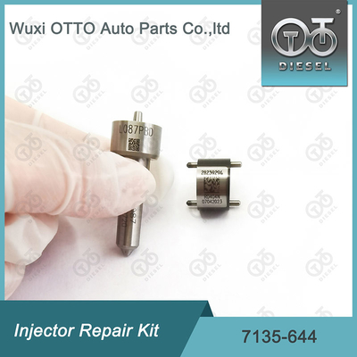 Συσκευή επισκευής φλυτζάνης 7135-644 Delphi Injector Kit για φλυτζάνη 28232242 με φλυτζάνη L087PBD